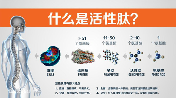 銀川伊百盛生物工程有限公司