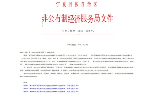 祝賀我公司被認定為“第一批自治區中小企業創業創新梯隊 成長之星”的榮譽稱號