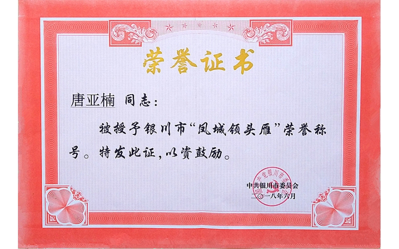 唐亞楠被授予銀川市“鳳城領頭雁”榮譽稱號